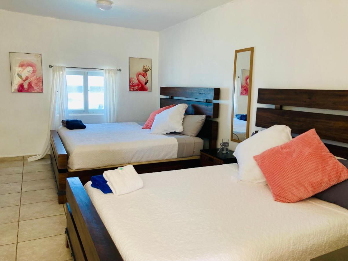 Casita Familiar Con Vista Al Mar Y Piscina Villa Arecibo Luaran gambar